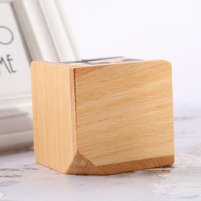 Wooden Brain Teaser Game