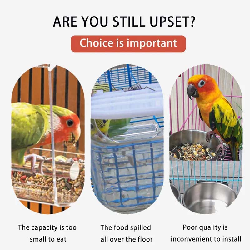 Automatic overflow protection Transparent bird feeder | Bowlift