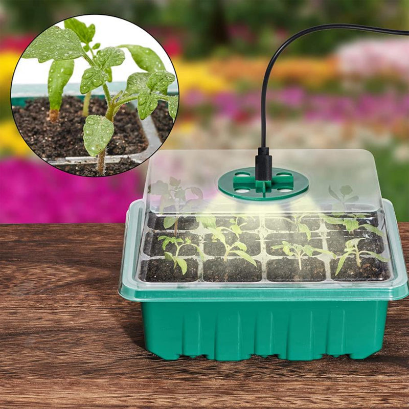 Seed Starter Trays with Grow Light, 5 sets | Bowlift