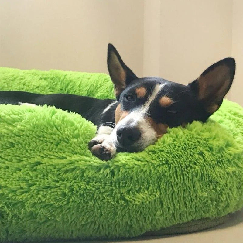 Skanto | Long Plush Donut Pet Bed with Washable Cover and Non-Slip Bottom