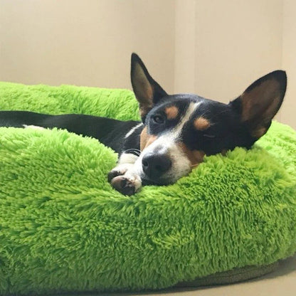 Skanto | Long Plush Donut Pet Bed with Washable Cover and Non-Slip Bottom