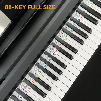 Kalsten | Removable Piano Keyboard Note Labels
