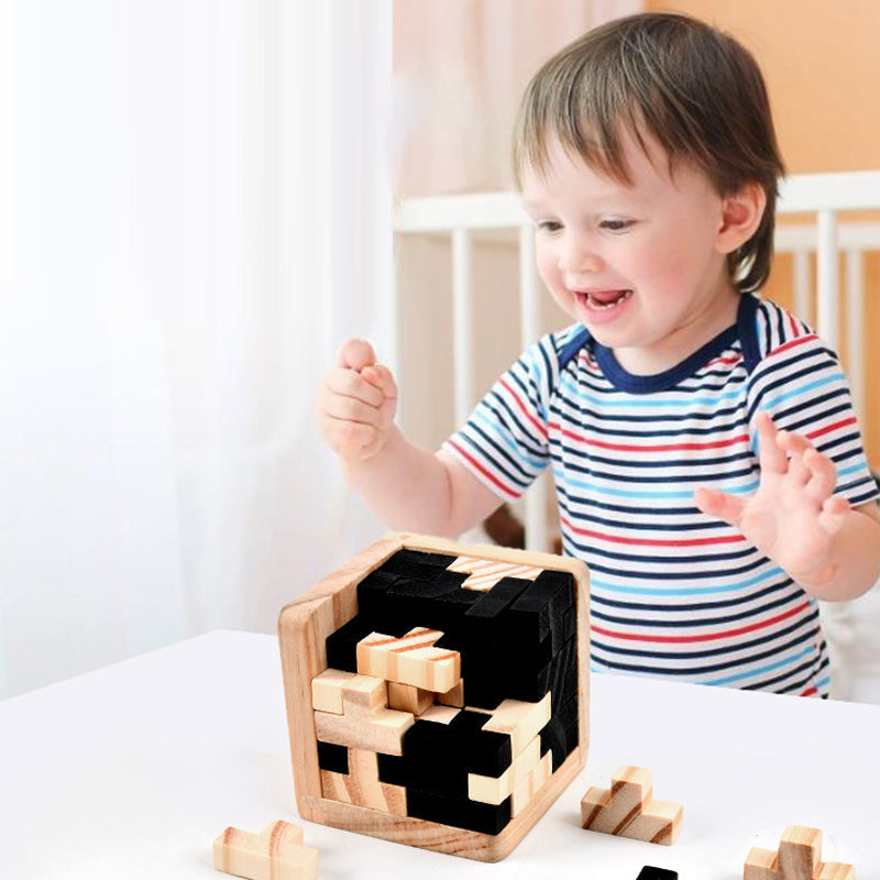 Wooden Brain Teaser Game