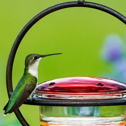 BowLift | Simple Hummingbird Water Dispenser Made of Metal
