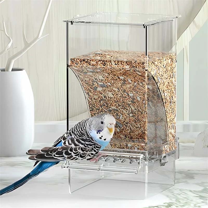 Automatic overflow protection Transparent bird feeder | Bowlift