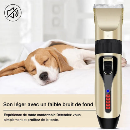 Skanto | Professional Pet Grooming Kit