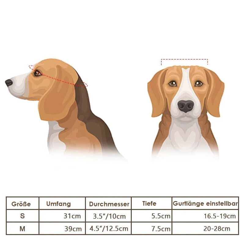 Skanto | Dog Motorcycle Helmet and Goggles – Trendy and Safe