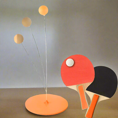 Table tennis coach - A person can also play table tennis