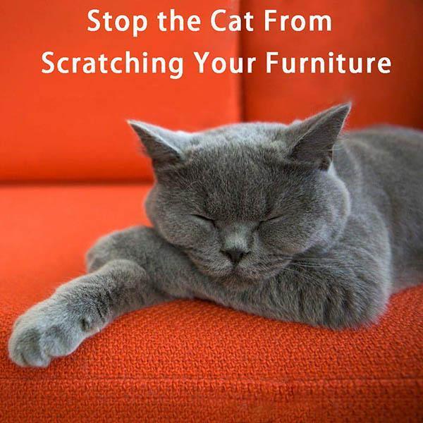 Skanto | Anti-Scratch Sofa Protector (2-Pack with 10 Pins)