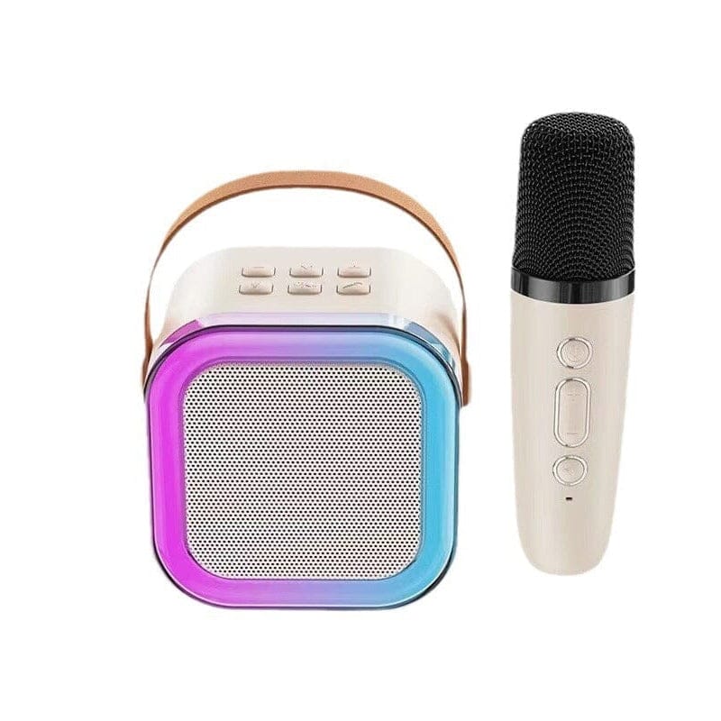 Mini Karaoke Machine with Wireless Microphones | Skanto