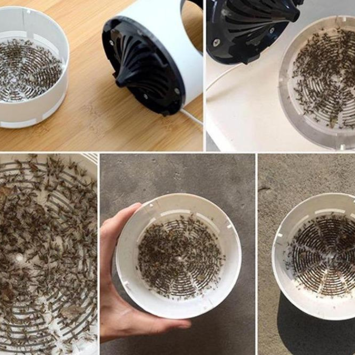 SilentTrap Electric Mosquito Trap with Vacuum Extraction Bowl