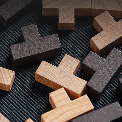 Wooden Brain Teaser Game