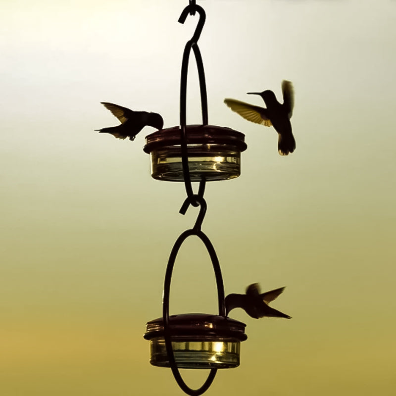 BowLift | Simple Hummingbird Water Dispenser Made of Metal