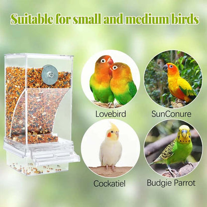 Automatic overflow protection Transparent bird feeder | Bowlift
