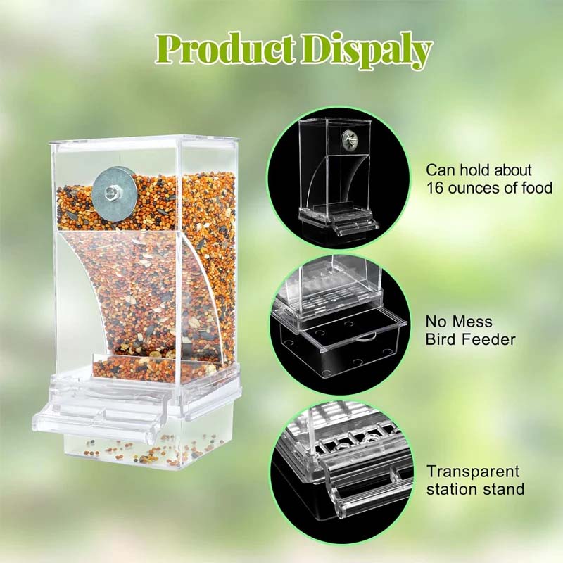 Automatic overflow protection Transparent bird feeder | Bowlift