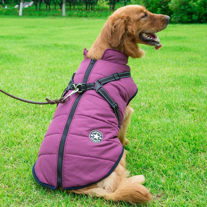 Skanto | Winter Zipper Coat for Dogs