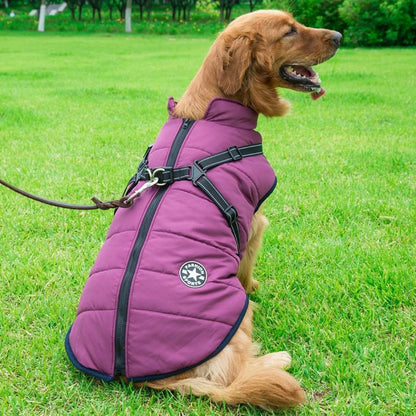 Skanto | Winter Zipper Coat for Dogs