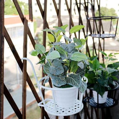BowLift | Hanging Window Flower Basket