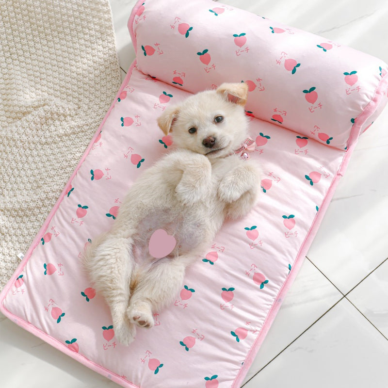 Cooling mat made of ice silk for dogs and cats | Karnz