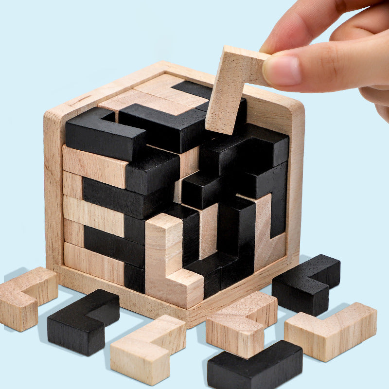 Wooden Brain Teaser Game