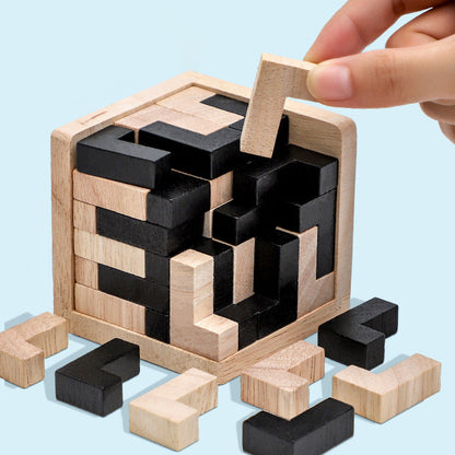Wooden Brain Teaser Game