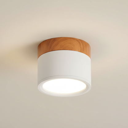 Aluminum LED Flush Mount Ceiling Light