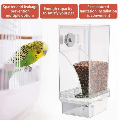 Automatic overflow protection Transparent bird feeder | Bowlift