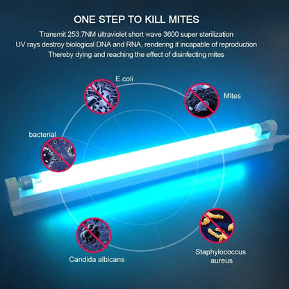 Skanto | UV Light - Ultraviolet Skanto | Lamp