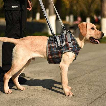 BowLift | Orthopedic Strap for Hind Legs
