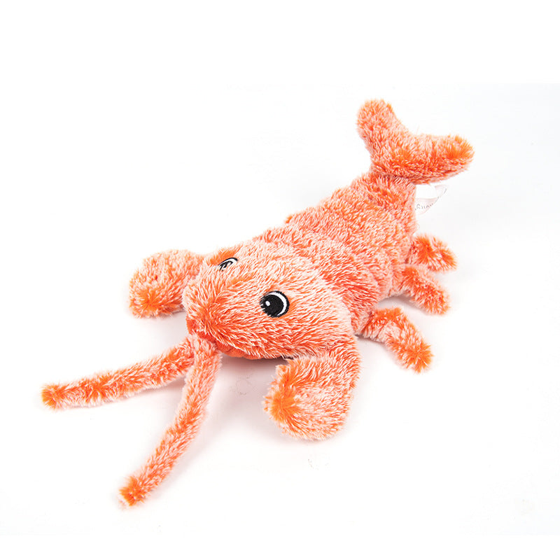 Skanto | Cat and Dog Toy