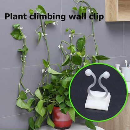 Wall clips for climbing plants (30 pieces) | Bowlift