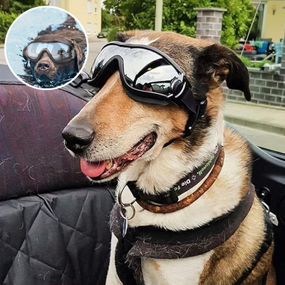 Skanto | Outdoor Dog Goggles