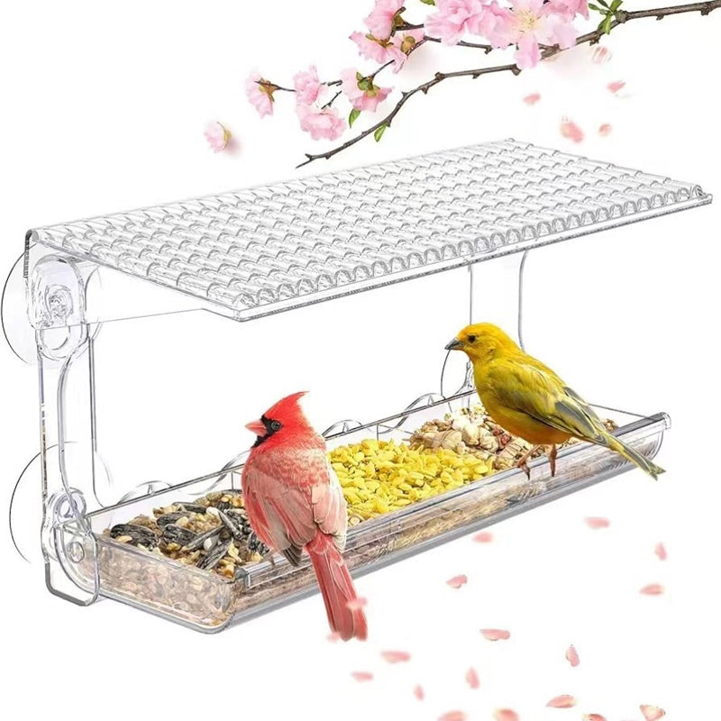 Skanto | Outdoor Clear-Window-Suction-Cup-Bird Feeder