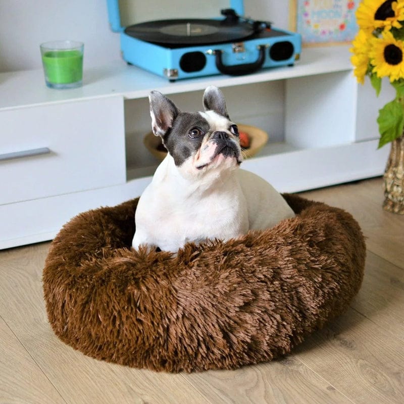 Skanto | Fluffy Calming Pet Bed for Dogs and Cats