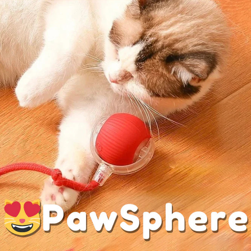 Skanto | Smart Rolling Pet Toy Ball
