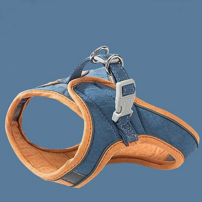 Harness and Leash Set for Cat | Skanto