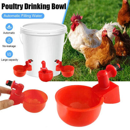 Skanto | Automatic Poultry Drinker