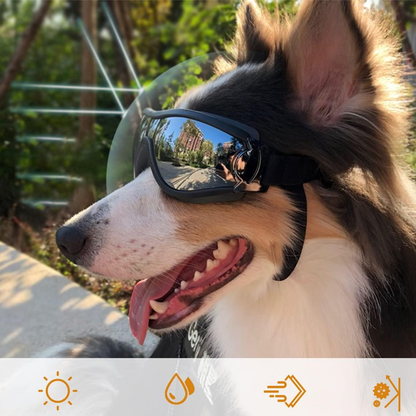Skanto | Outdoor Dog Goggles
