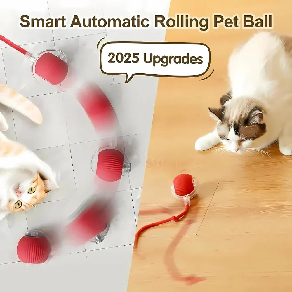 Skanto | Smart Rolling Pet Toy Ball