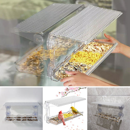 Skanto | Outdoor Clear-Window-Suction-Cup-Bird Feeder