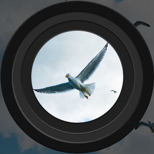 Karnz | Binoculars High Performance Night Vision Waterproof