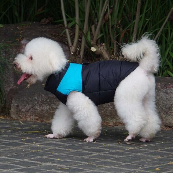 Winter Warm Waterproof Dog Vest with Zipper (Size S-7XL)