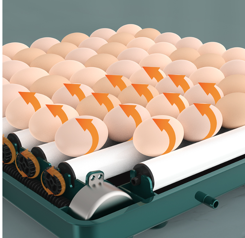 BowLift | Digital Egg Incubator with Adjustable Tray