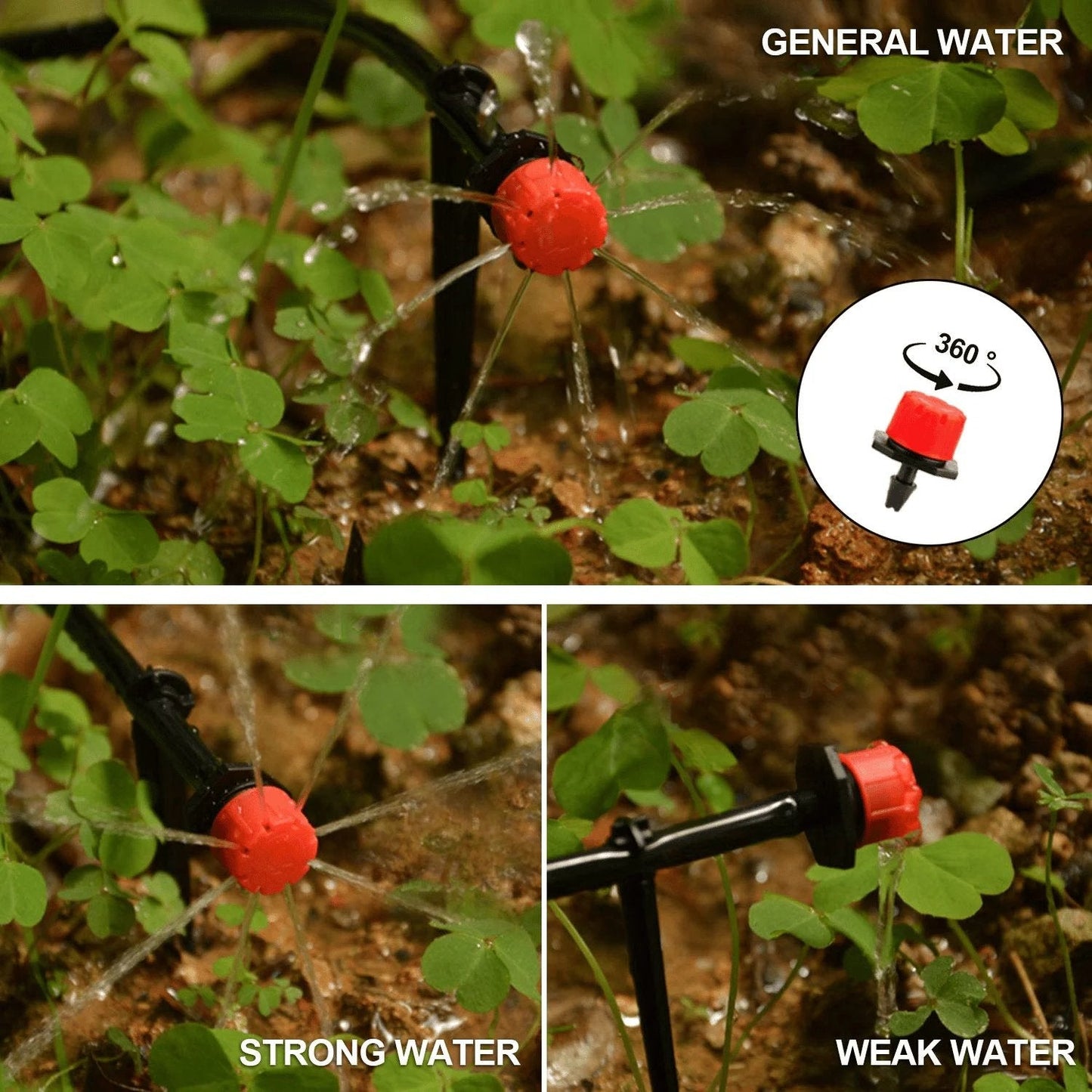 BowLift | Fog-cooled Automatic Irrigation System