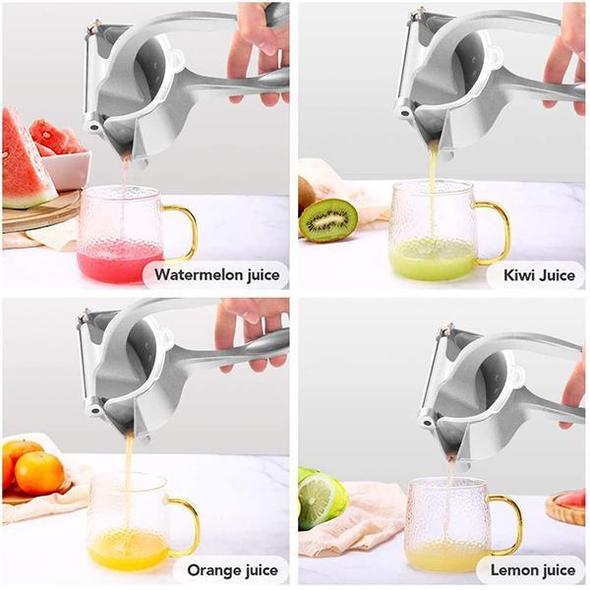 Skanto | Stainless Steel Juicer Summer