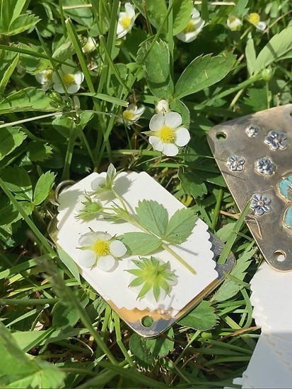 BowLift | Mini Flower Press | Compact Botanical Keepsake Maker | Portable Craft Tool