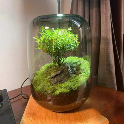 Micro Landscape Green Oasis Glass Vase | Karnz