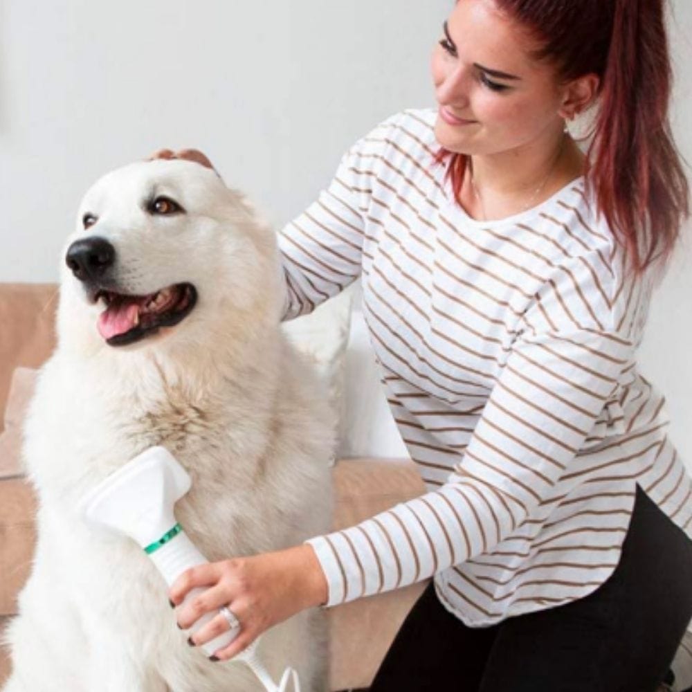 Skanto | 2-in-1 Dog Grooming Dryer