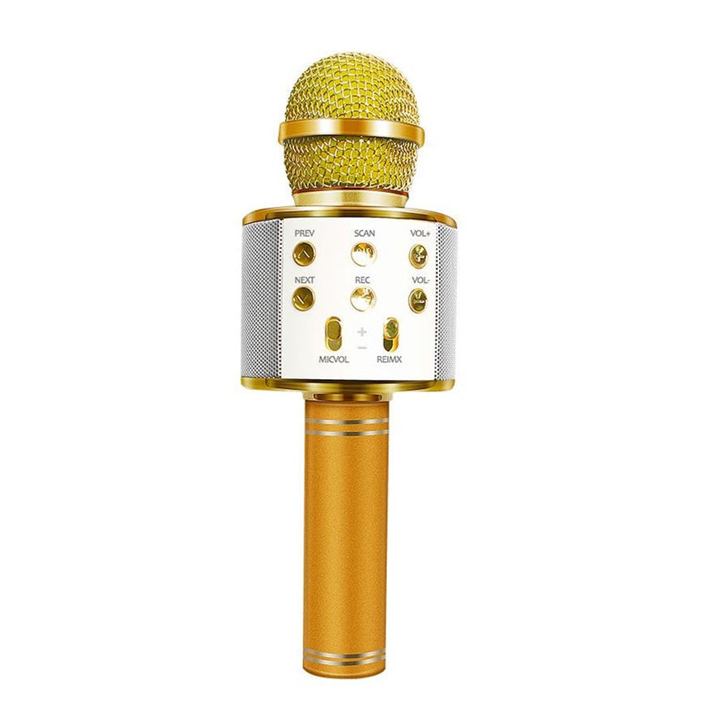 BowLift | Rechargeable wireless Bluetooth karaoke microphone