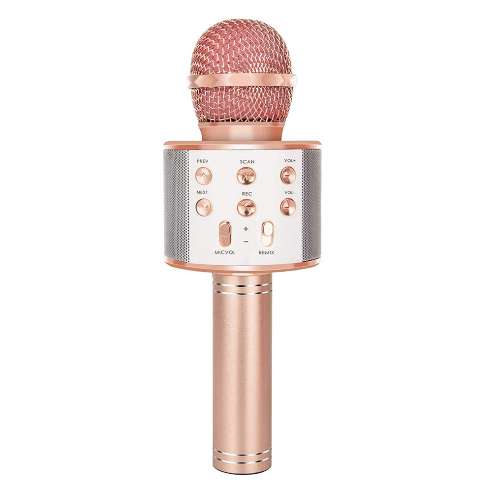 Brehn | Rechargeable Wireless Bluetooth Karaoke Microphone